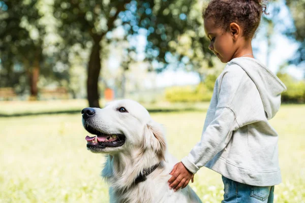 Vue latérale de l'adorable enfant afro-américain palming golden retriever dans le parc — Photo de stock