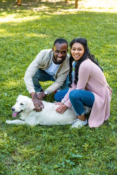 Sorridente coppia afro-americana accovacciata vicino golden retriever nel parco — Foto stock