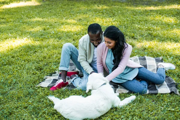 Africano americano pareja sentado en manta en parque y mirando perro - foto de stock