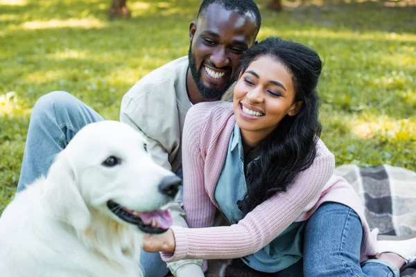 Heureux couple afro-américain palming chien blanc dans le parc — Photo de stock