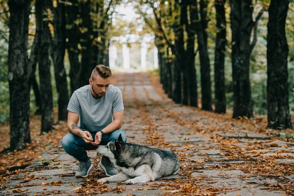 Bel homme avec chien husky dans le parc d'automne — Photo de stock