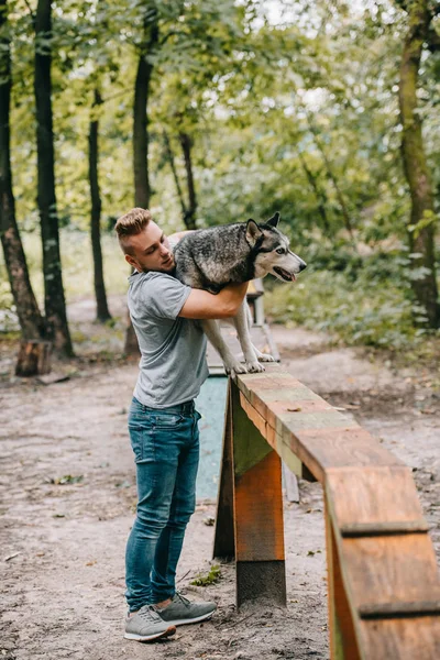 Entrenamiento cinnólogo con husky en perro paseo obstáculo - foto de stock