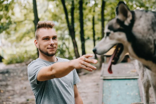 Jovem homem formação com siberiano husky cão no parque — Fotografia de Stock