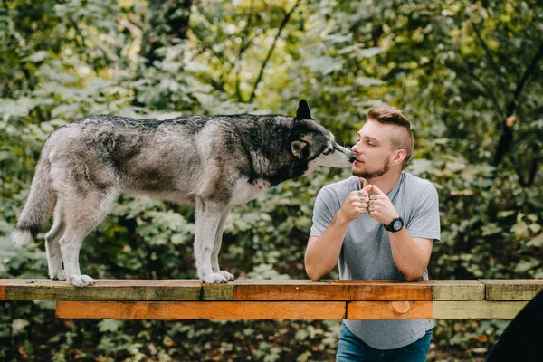 Man with husky on dog walk obstacle in park — Stock Photo