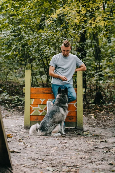 Young man training with obedient husky dog on jumping obstacle — Stock Photo