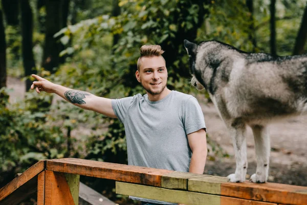 Cynologist com husky siberiano no obstáculo da caminhada do cão — Fotografia de Stock