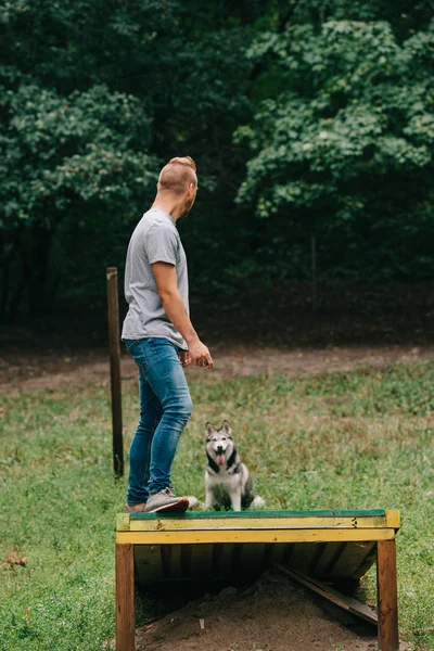 Cynologue avec husky sibérien sur chien marche obstacle en classe d'obéissance — Photo de stock