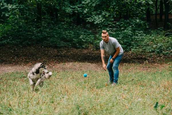 Joven entrenando y jugando pelota con perro husky en el parque - foto de stock