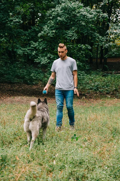 Schöner junger Mann spielt Ball mit Husky-Hund im Park — Stockfoto