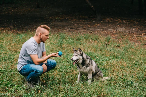 Junger Mann spielt Ball mit Hund im Park — Stockfoto