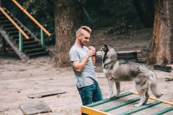 Giovane addestratore di cani con husky obbediente su ostacolo dog walk — Foto stock