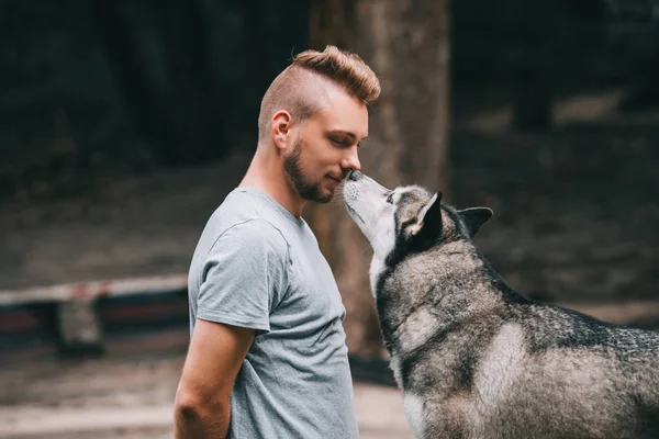 Cão husky siberiano se comunicando com o cinologista — Fotografia de Stock