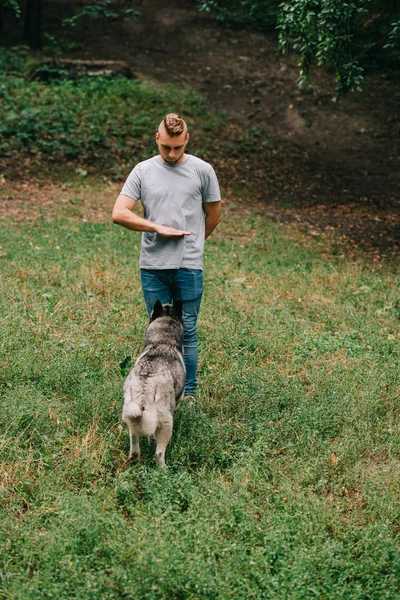 Cinologo e husky cane formazione stand comando con gesto della mano — Foto stock