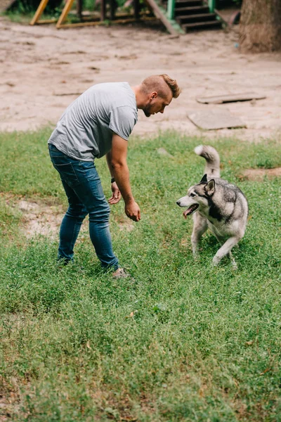 Hombre entrenamiento obediencia con siberiano husky perro - foto de stock