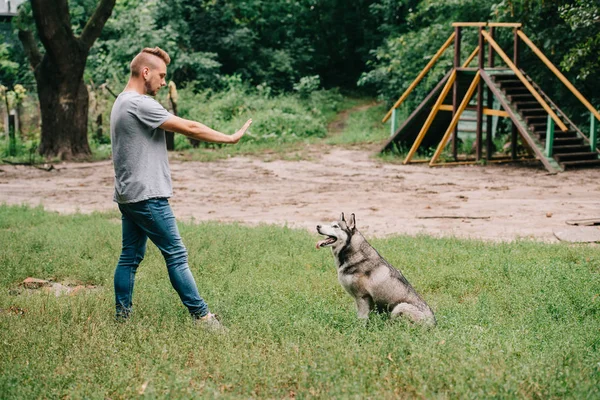 Mann gestikuliert Befehl, mit sibirischem Husky-Hund im Park zu sitzen — Stockfoto