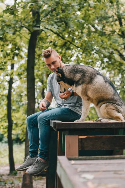 Giovane cinologo con cane husky siberiano seduto nel parco — Foto stock