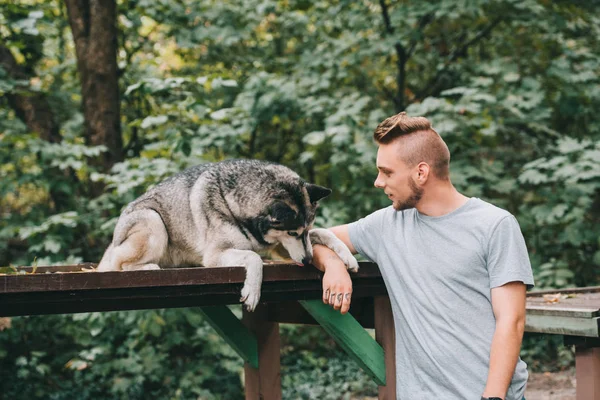 Young man with siberian husky dog in park — Stock Photo