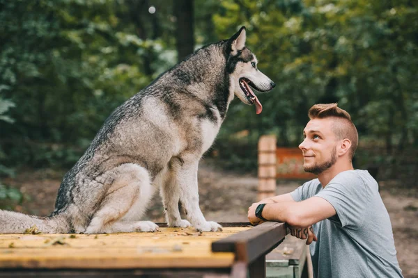 Молодой человек смотрит на собаку сибирского хаски — стоковое фото