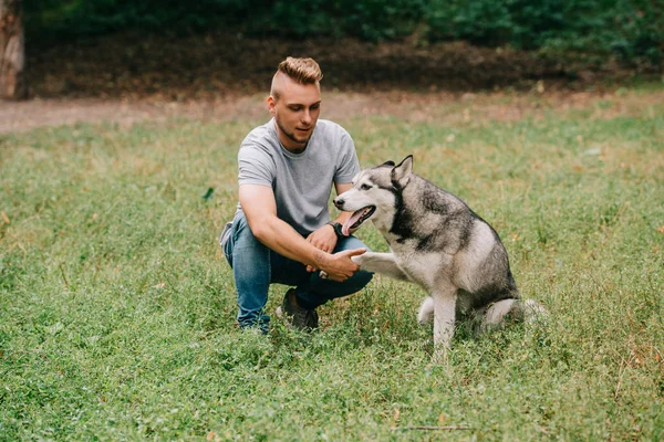 Cinnólogo jugando con perro husky siberiano en el parque - foto de stock