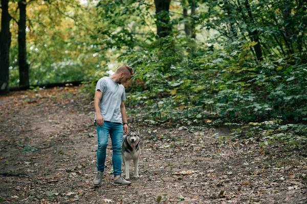 Giovane uomo che cammina con cane husky siberiano nella foresta — Foto stock
