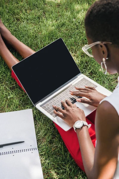 Elegante mujer de negocios afroamericana sentada en la hierba y el uso de la computadora portátil con pantalla en blanco en el parque - foto de stock
