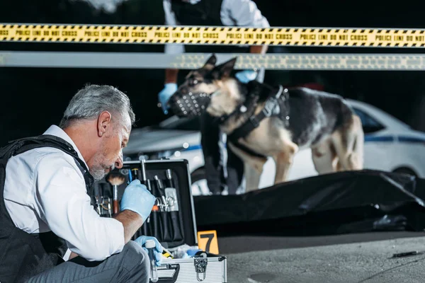 Concentrated mature policeman sitting with case for investigation tools while his colleague with alsatian on leash standing near corpse in body bag at crime scene — Stock Photo