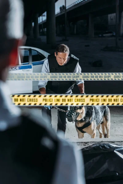 Vista parziale di agente di polizia maschio in piedi vicino al cadavere in sacco corpo mentre il suo collega in piedi con pastore tedesco al guinzaglio sulla scena del crimine — Foto stock