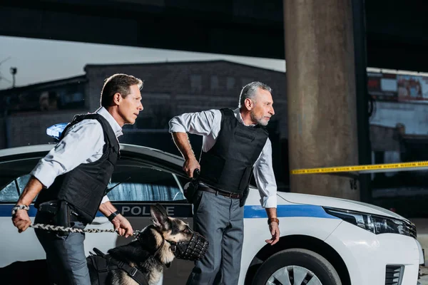 Seitenansicht eines Polizisten, der seine Waffe aus dem Holster zieht, während sein Kollege mit einem Elsässer an der Leine in die Nähe läuft — Stockfoto