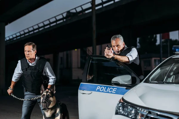 Серйозний поліцейський прицілюється пістолетом біля машини, а його колега стоїть поруч з собакою на повідку на міській вулиці — стокове фото