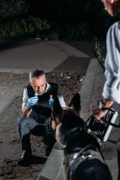 Agent de police mature en gants de latex montrant des preuves au chien de berger allemand tandis que son collègue debout près de la scène du crime — Photo de stock