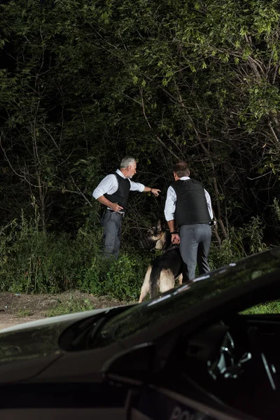 Oficial de policía masculino con el arma señalando con el dedo a su colega con alsaciano en la correa al aire libre — Stock Photo