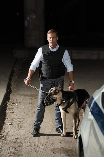 Mature policeman in bulletproof vest holding german shepherd dog on leash near car at city street — Stock Photo