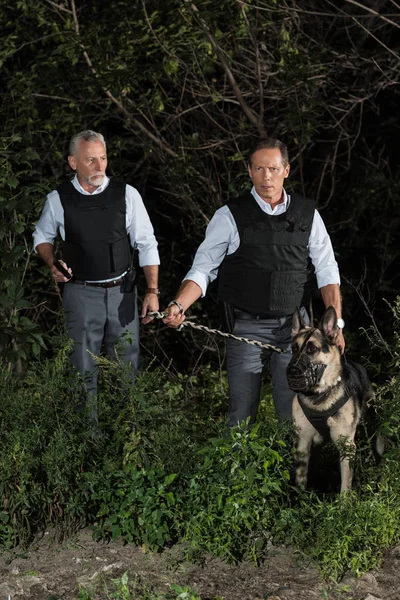 Male police officers in bulletproof vests with german shepherd dog on leash near forest — Stock Photo