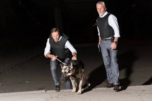 Policiers masculins sérieux avec chien de berger allemand en laisse dans la rue — Photo de stock