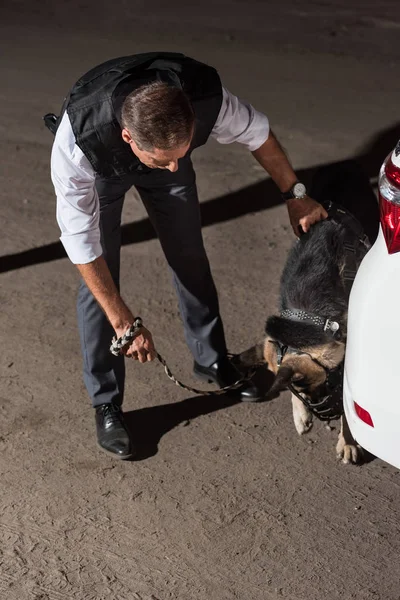 Polizist in schusssicherer Weste mit Schäferhund an der Leine neben Auto auf Straße — Stockfoto