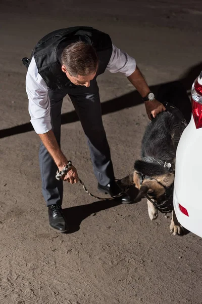 Policeman in bulletproof vest with german shepherd on leash near car at street — Stock Photo