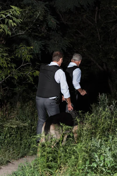 Vue arrière des policiers en gilets pare-balles avec berger allemand en laisse près de la forêt — Photo de stock