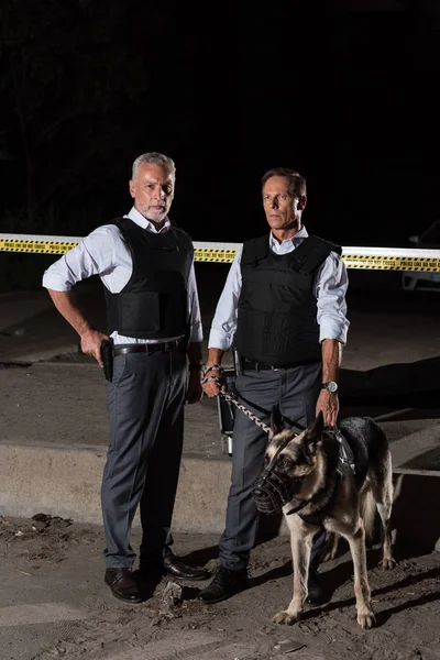 Mature male police officers in bulletproof vests standing with dog on leash near cross line at crime scene — Stock Photo