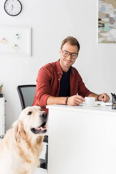 Homem de negócios feliz com cão golden retriever no escritório moderno — Fotografia de Stock