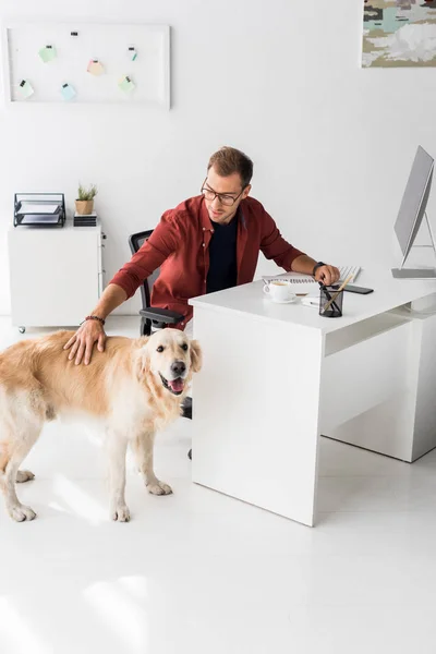 Glücklicher Geschäftsmann streichelt Hund in modernem Büro — Stockfoto