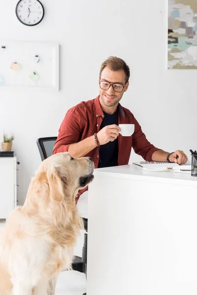 Golden retriever sentado perto de empresário beber café — Fotografia de Stock