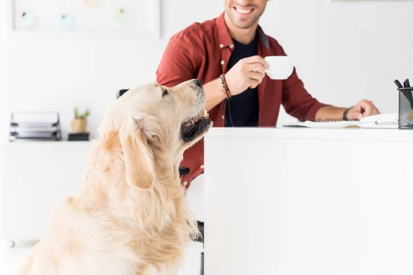 Золотистая собака-ретривер сидит рядом с улыбающимся бизнесменом и пьет кофе — стоковое фото