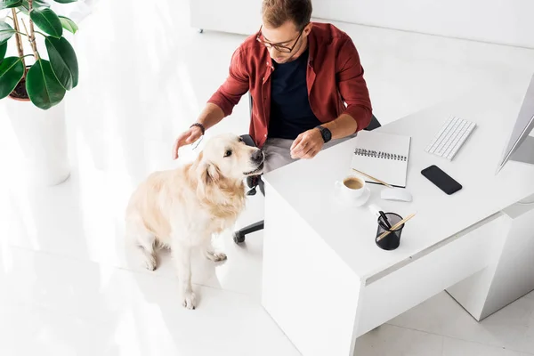 Golden Retriever sitzt auf dem Boden neben Geschäftsmann in modernem Büro — Stockfoto