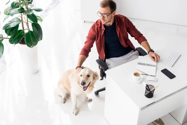 Bel homme d'affaires et chien golden retriever dans le bureau moderne — Photo de stock