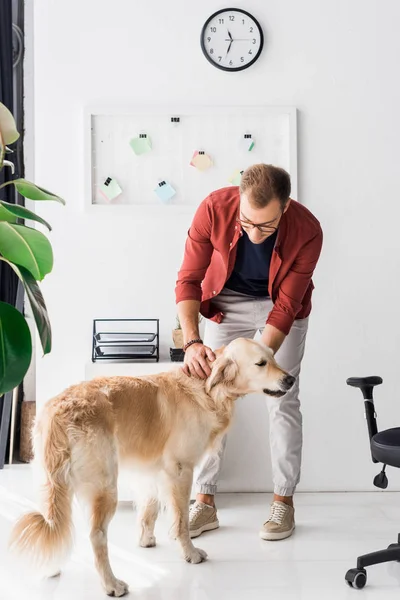 Hombre acariciando golden retriever perro en moderno oficina - foto de stock