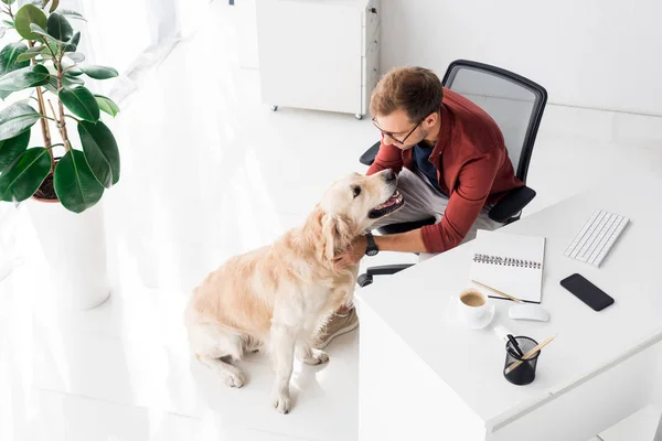 Hombre de negocios sentado en la silla y acariciando perro en la oficina - foto de stock