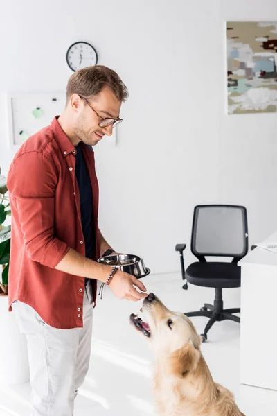 Чоловік годує милого золотошукача собакою з рук — стокове фото