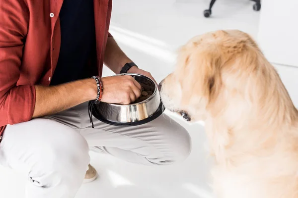 Visão cortada do homem alimentando cão golden retriever da mão — Fotografia de Stock