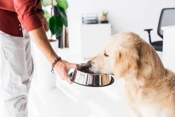 Cropped view of man feeding cute golden retriever dog — Stock Photo