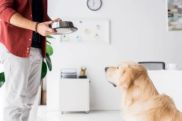 Cropped view of golden retriever dog looking at man with dog bowl — Stock Photo